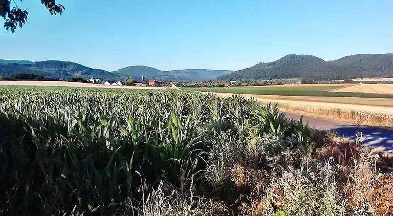 Monteurwohnung Langelsheim 6 Personen