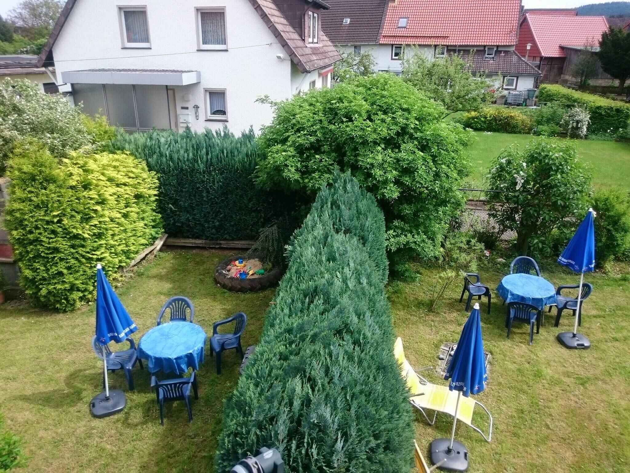 Large Image
