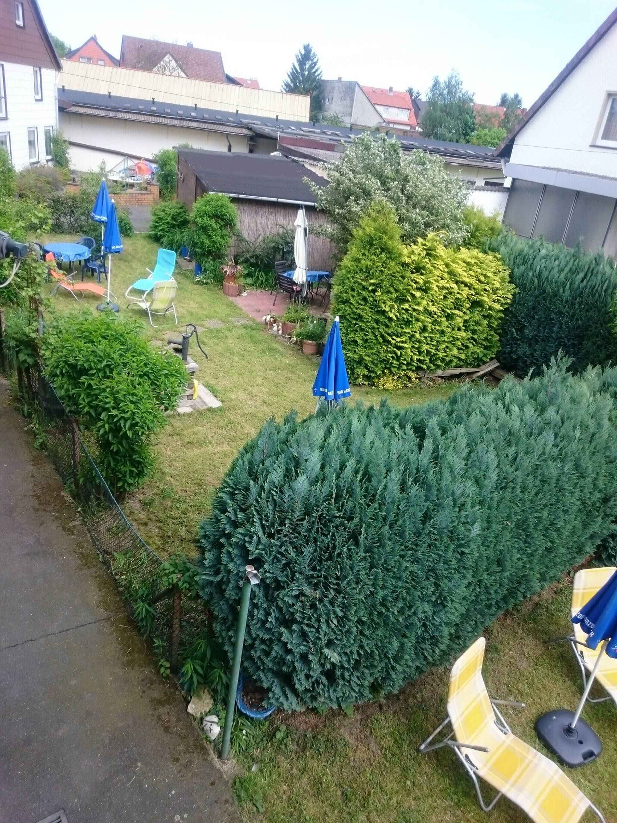 Large Image