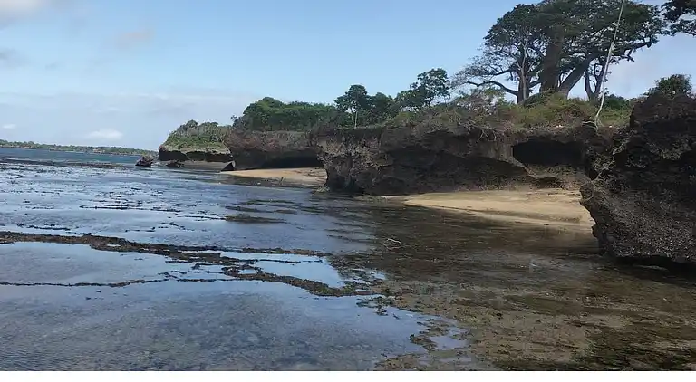 Vakantiehuis in Shimoni