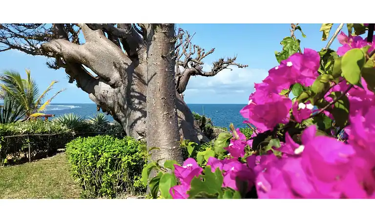 Vakantiehuis in Shimoni