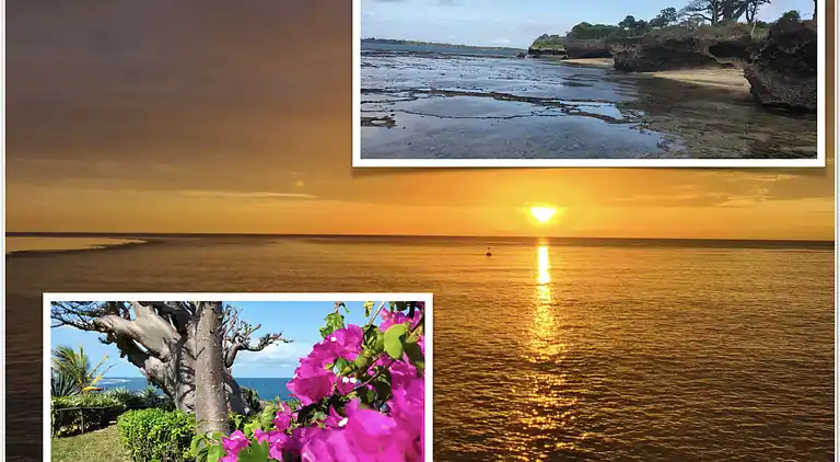 Vakantiehuis in Shimoni