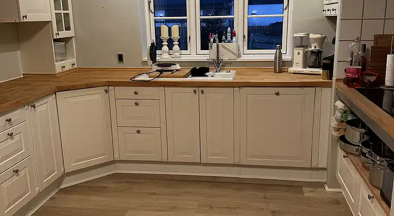 Robbensafari, Austern-Safari und Wassersport