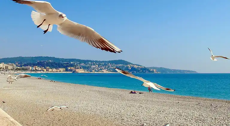 Ferienwohnung in Caucade