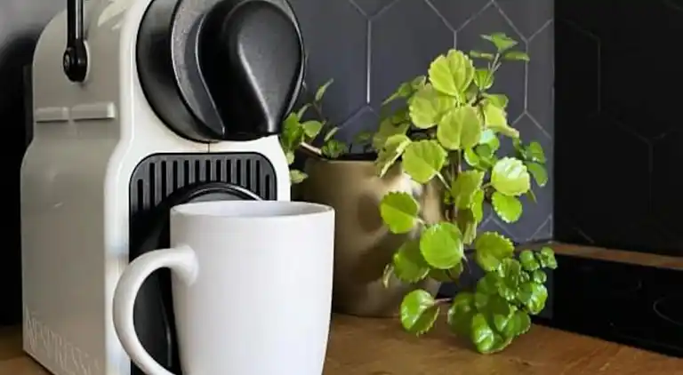 Ferienwohnung in Okzitanien