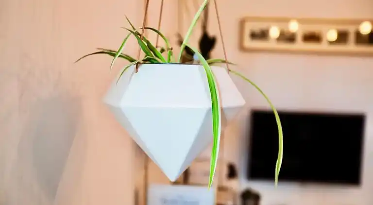 Ferienwohnung in Okzitanien