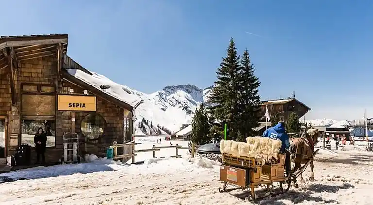 Ferienwohnung in Avoriaz