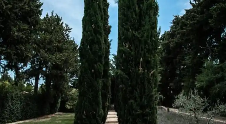 Ferienwohnung in Saumane-de-Vaucluse