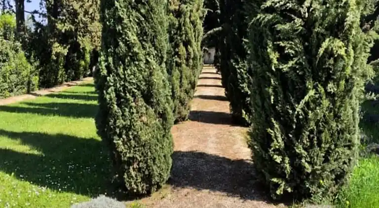 Ferienwohnung in Saumane-de-Vaucluse