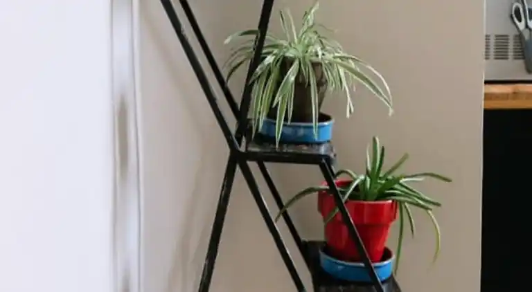 Ferienwohnung in Saumane-de-Vaucluse