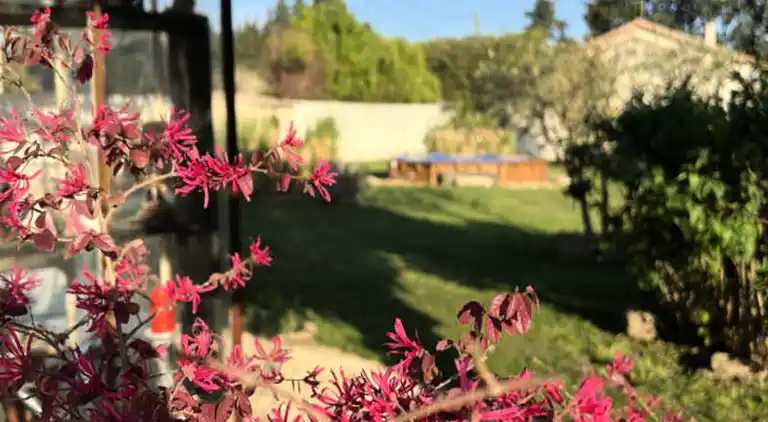 Ferienwohnung in Saumane-de-Vaucluse