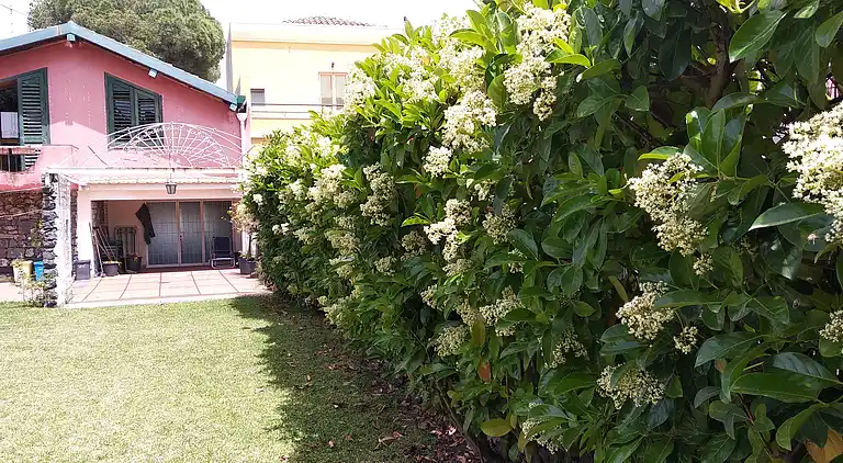 Haus mit Garten in der Nähe des Meeres