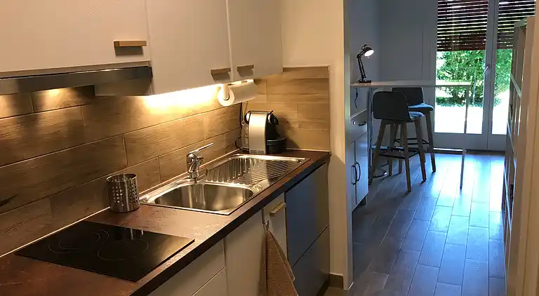 Großes Studio in der Nähe des Zentrums von Epfl und Lausanne