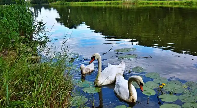 Ferienhaus in Lány u Rakovníka