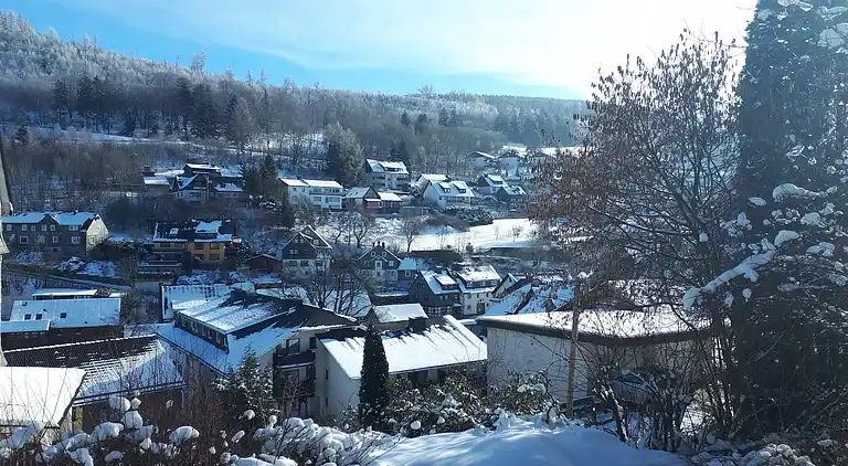 Ferielejlighed i Schwalefeld