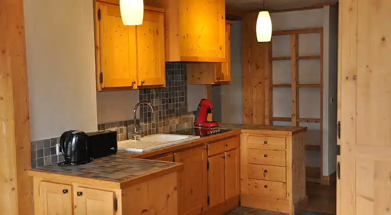 Appartement en Vénosc