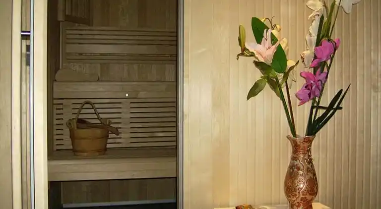 Ferienwohnung in La Tieule