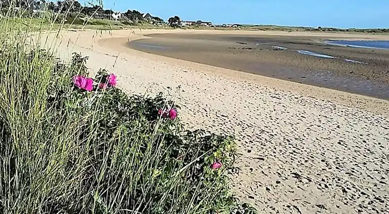 Ferienwohnung in Guidel