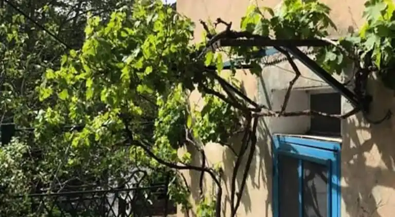 Apartment in Saumane-de-Vaucluse