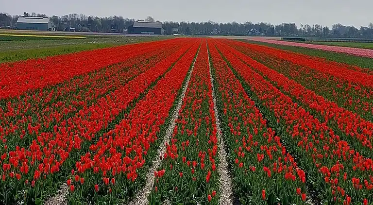 Holiday home in Sint Maartensvlotbrug