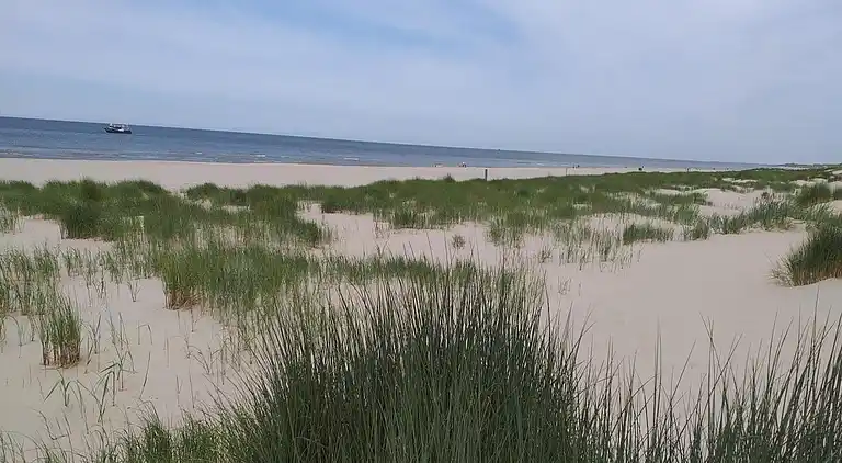 Holiday home in Sint Maartensvlotbrug