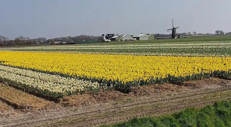 Holiday home in Sint Maartensvlotbrug