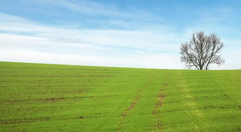 Ferielejlighed i Wildemann