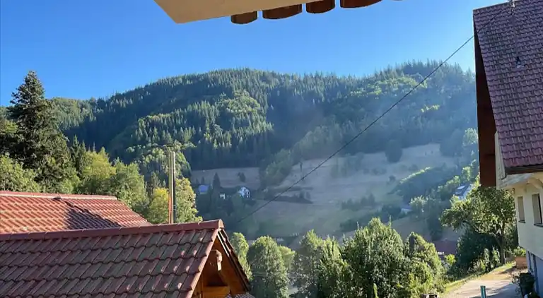 Ferielejlighed i Bad Peterstal-Griesbach