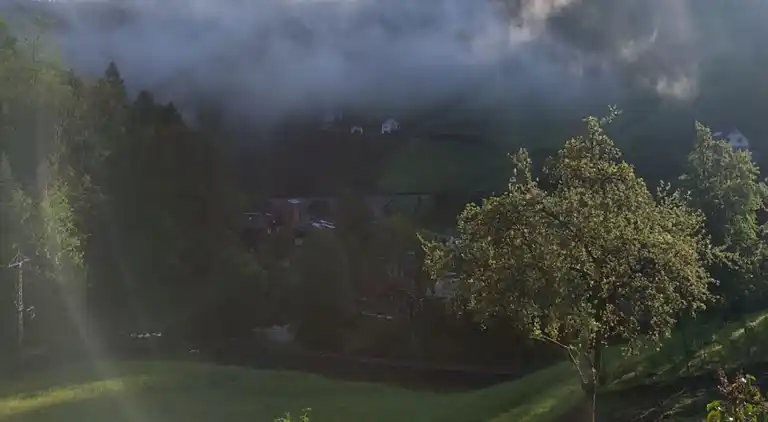 Ferielejlighed i Bad Peterstal-Griesbach