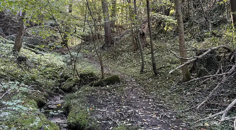 Feriebolig med havudsigt - 5 min. fra sandstrand