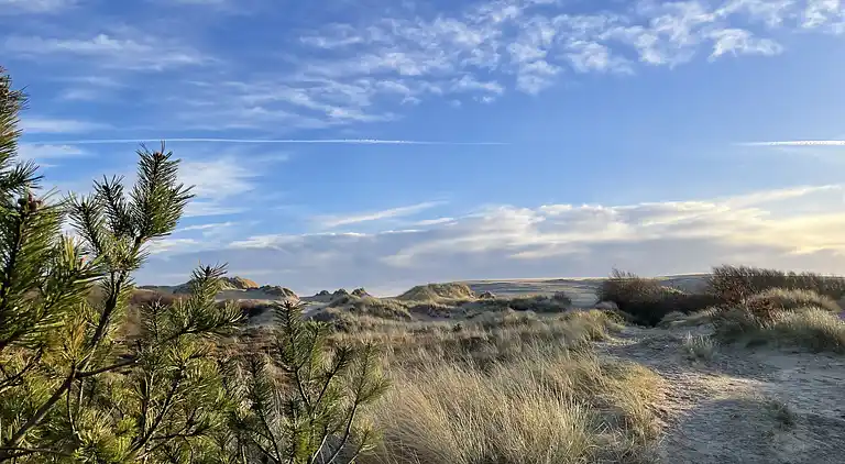 Unik beliggenhed på kæmpe solrig naturgrund 
