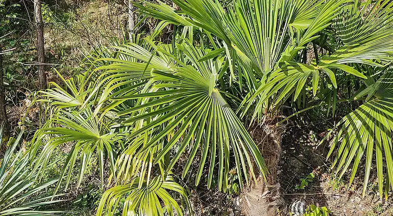 Holiday home in Handrup Strand