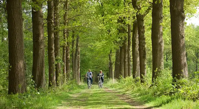 Holiday home in Scherpenzeel