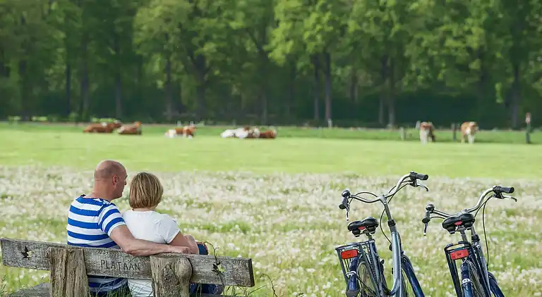 Holiday home in Scherpenzeel