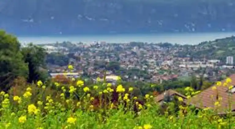 Ferienwohnung in Mouxy