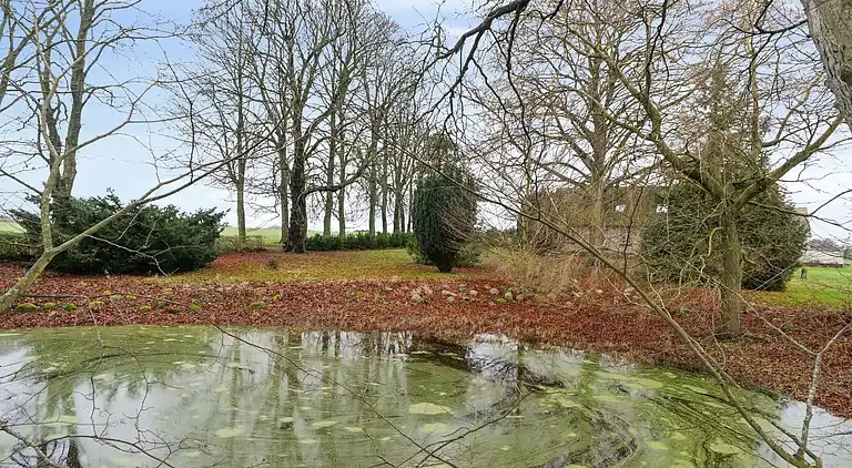 Hyggelig landejendom med gode fiskemuligheder