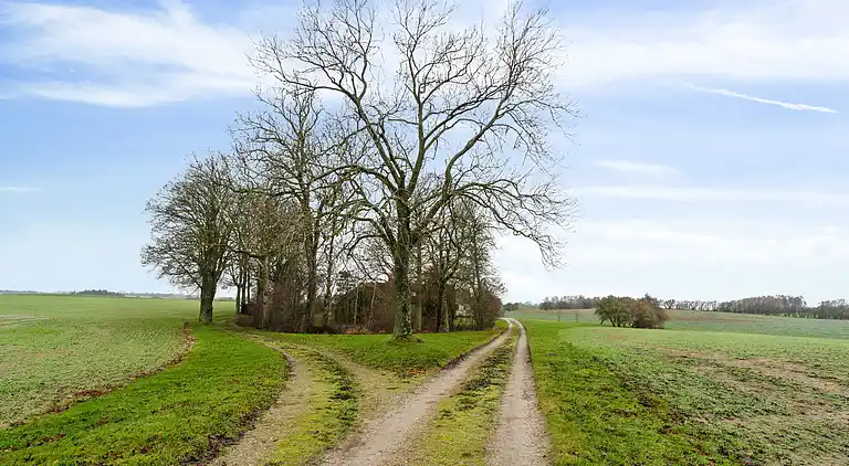Hyggelig landejendom med gode fiskemuligheder