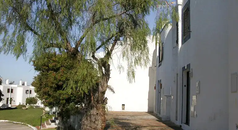 Almargem Villa 77 – Gemütliches Ferienhaus nahe Strand