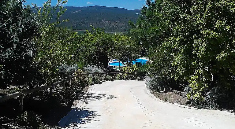 Casa Amoreira - Quinta Amoreira