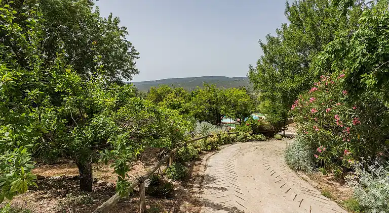 Casa Amoreira - Quinta Amoreira