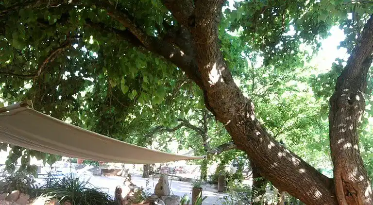 Casa Amoreira - Quinta Amoreira