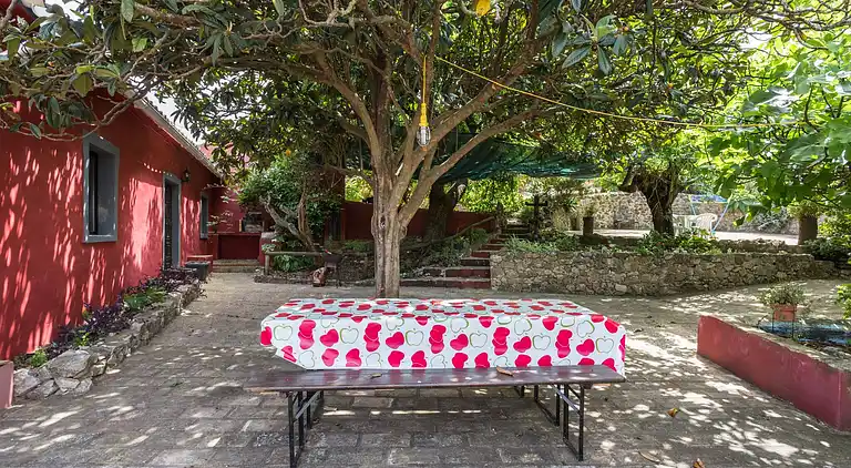 Casa Amoreira - Quinta Amoreira