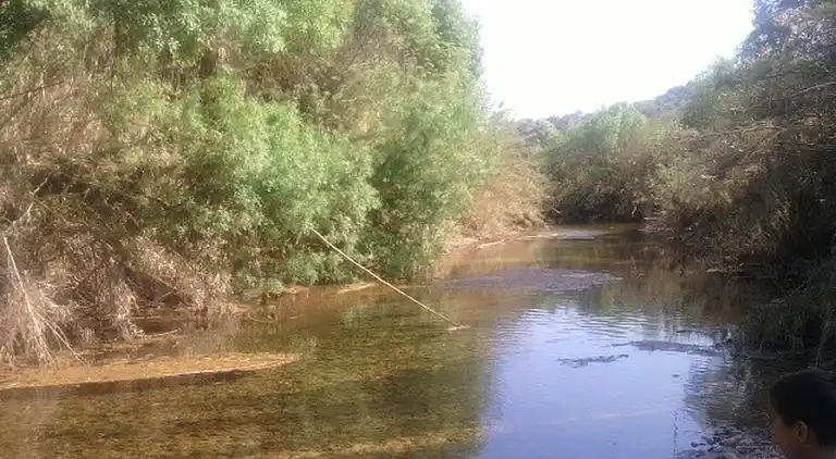 Casa Amoreira - Quinta Amoreira