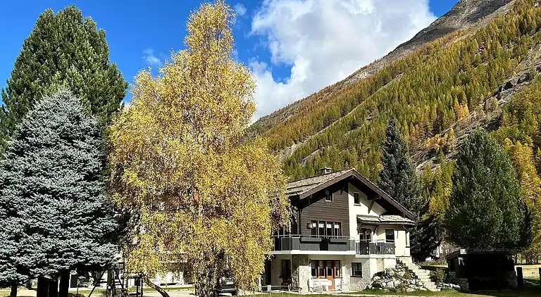 Apartment in Saas-Grund