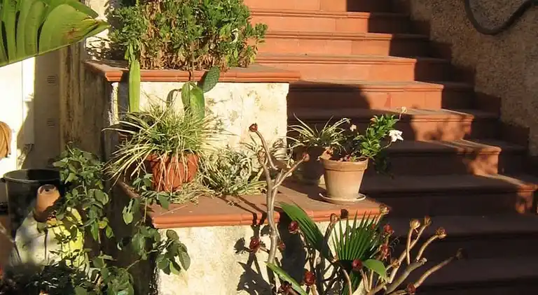 Carlo apartment in villa near the sea - wi-fi