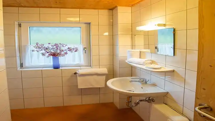 Hytte i Annaberg im Lammertal