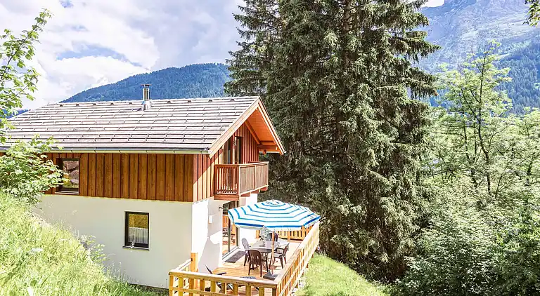 Hytte i Annaberg im Lammertal