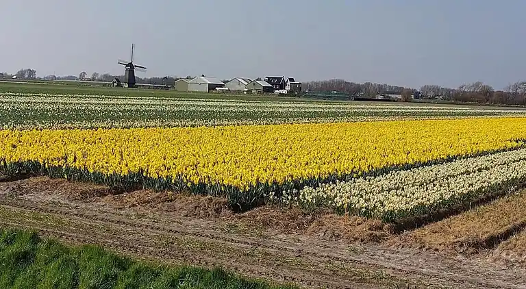 Holiday home in Sint Maartensvlotbrug