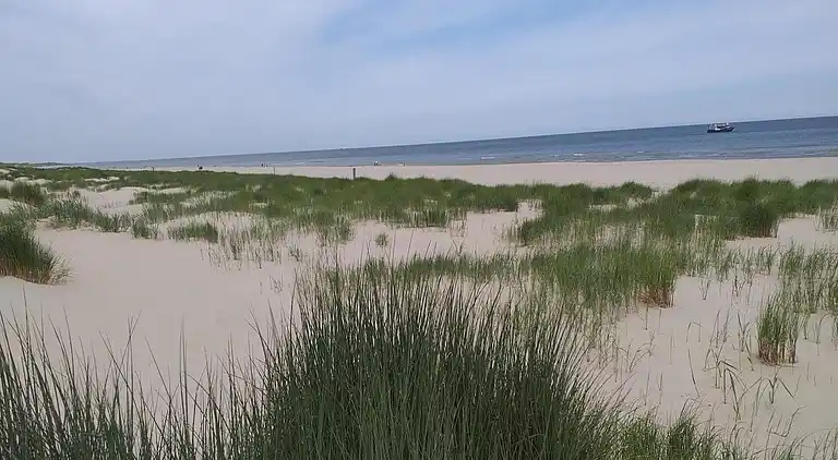 Holiday home in Sint Maartensvlotbrug