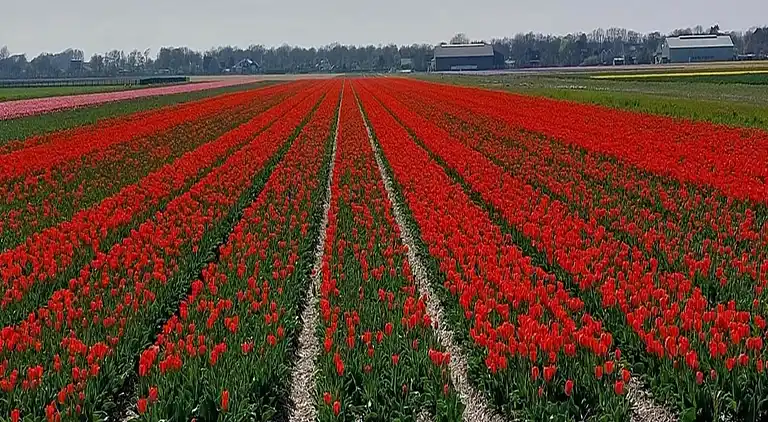 Holiday home in Sint Maartensvlotbrug